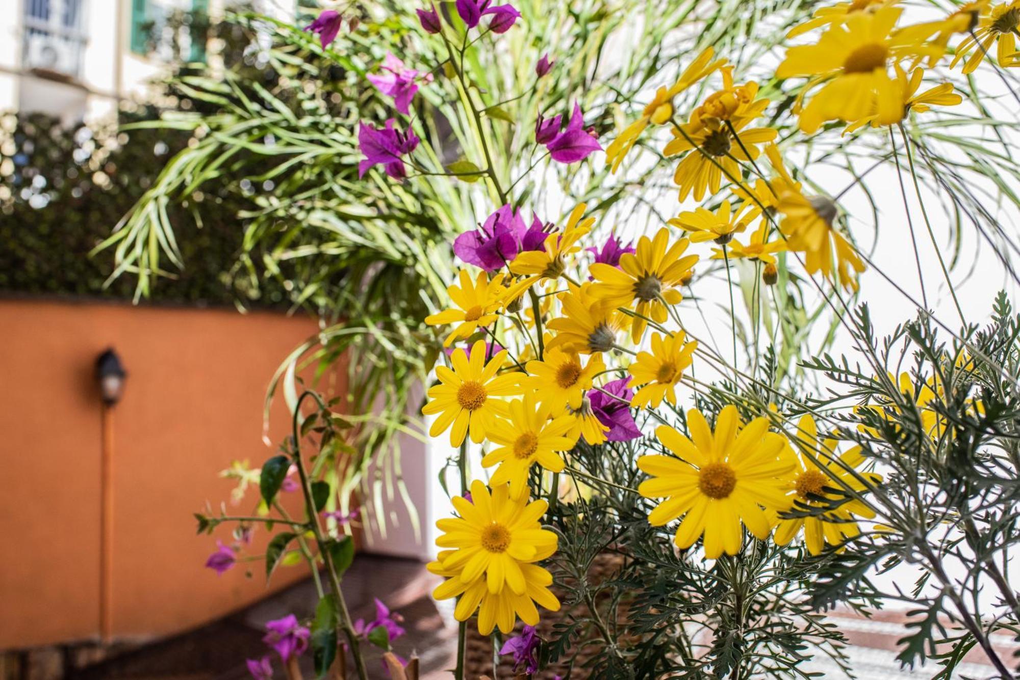 Spanish Steps Apartment & Terrace 로마 외부 사진
